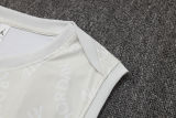 2025/26  PSG Light Gray Vest Training Jersey(A Set) 喷墨