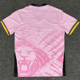 2025/26 Cameroon Training Soccer Jersey