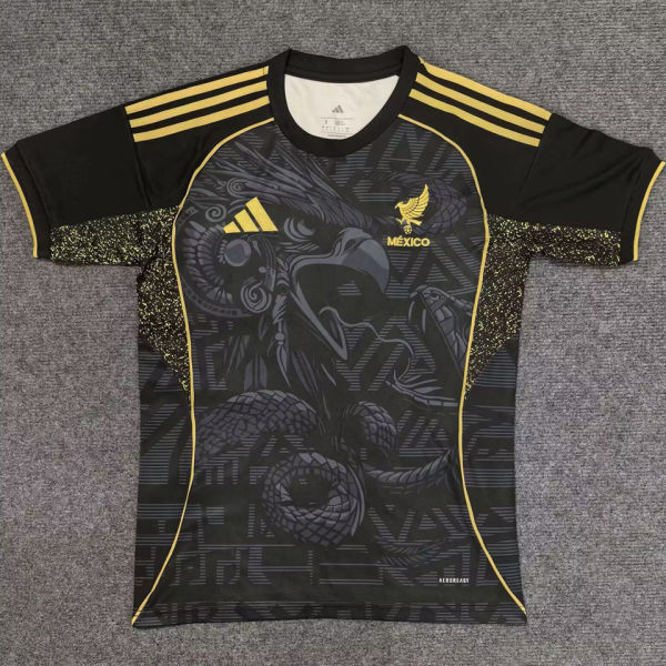 2025 Mexico Black Special Edition Fans Soccer Jersey