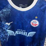 2025 Hansa Rostock Special Edition Fans Soccer Jersey