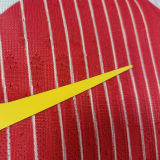 2025 BA Special Edition Player Version Soccer Jersey