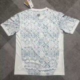 2025/26 Portugal Portugal x Iv Fans Soccer Jersey  彪马