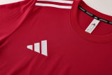 2025/26 AD Red Training Jersey(A Set)
