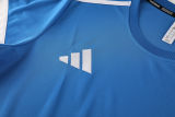 2025/26 AD Blue Training Jersey(A Set)