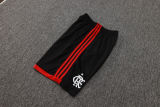 2025/26 Flamengo Vest Training Jersey(A Set)