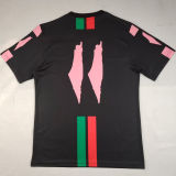 2025/26 FC Palestine Special Edition Fans Soccer Jersey  英文 背后带11