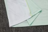 2025/26 AD Light Green Training Jersey(A Set)