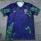 2025/26 Brazil Special Edition Fans Soccer Jersey