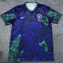 2025/26 Brazil Special Edition Fans Soccer Jersey