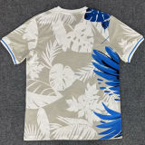 2025/26 Brazil Special Edition Fans Soccer Jersey