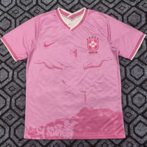 2025/26 Brazil Special Edition Fans Soccer Jersey