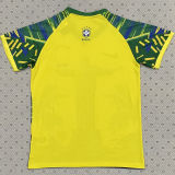 2025/26 Brazil Special Edition Fans Soccer Jersey