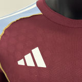 2025/26 Aston Villa Home Player Version Soccer Jersey