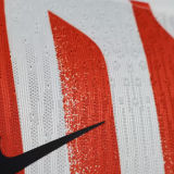 2025/26 In Milan Special Edition Player Version Soccer Jersey