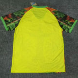2025/26 Brazil Special Edition Fans Soccer Jersey