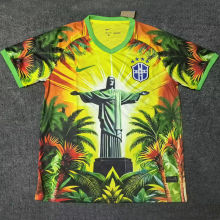 2025/26 Brazil Special Edition Fans Soccer Jersey