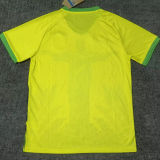 2025/26 Brazil Special Edition Fans Soccer Jersey