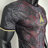 2025/26 PSG Special Edition Player Version Soccer Jersey