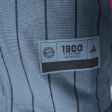 2025/26 BFC Grey Baseball Player Version T-Shirt  硅胶版