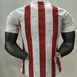 2025/26 BA Special Edition Player Version Soccer Jersey