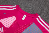 2025/26 Flamengo Rose Red Training Jersey(A Set)