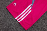 2025/26 Flamengo Rose Red Training Jersey(A Set)