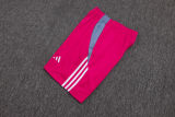 2025/26 Flamengo Rose Red Training Jersey(A Set)