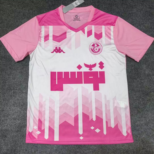 2025/26 Tunisia Special Edition Fans Soccer Jersey  突尼斯