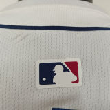 2025/26 PSG White Baseball Player Version T-Shirt  硅胶版