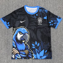 2025/26 Brazil Special Edition Fans Soccer Jersey