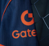 2025/26 In Milan Second Away  Player Version Soccer Jersey