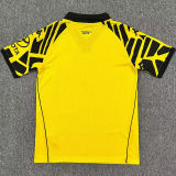 2025/26 Kaizer Chiefs Home Yellow Fans Soccer Jersey 凯撒酋长