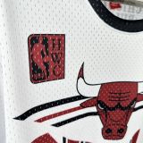 2026 Bulls Retro White T-Shirt