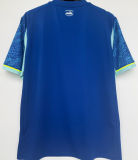 GREENWOOD #10 MS 1:1 Quality Third Fans Soccer Jersey 2025/26 (UCL Font 欧冠体 ) （Have TREIZIEME HOMME 带号下广告 ）