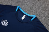 2025/26 Grêmio Baby Blue Training Jersey(A Set)