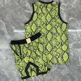 2025/26 Jordan Dark Green Vest Training Jersey(A Set)