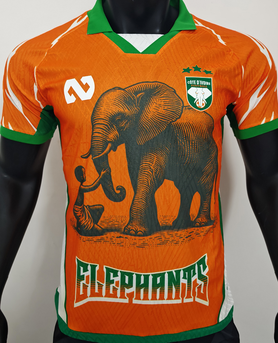 2026 Camerún Especial Orange Versión Jugador