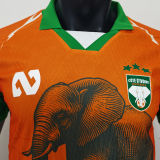 2026 Cameroon Orange Special Edition Player Version Soccer Jersey