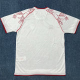 2025/26 CD Castellon Away Fans Soccer Jersey 西乙卡斯特利翁