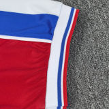 YEREMY #10 Crystal Palace Home Fans Soccer Jersey 2025/26 (League Font 联赛字体 )