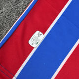 MATETA #14  Crystal Palace Home Fans Soccer Jersey 2025/26  (CUP Font 杯赛字体 )