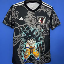 2025/26 Japan Special Edition Fans Jersey