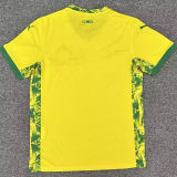 2025/26 Mamelodi Sundowns Home Yellow Fans Soccer Jersey 马梅洛迪日落