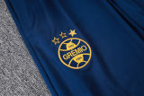 2025/26 Grêmio Baby Blue Sweater Tracksuit