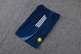 2025/26 Al Nassr Baby Blue Training Jersey(A Set)