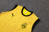 2026 BVB Yellow Vest Training Jersey (A Set)