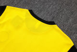 2026 BVB Yellow Training Jersey(A Set)