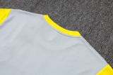 2026 BVB Grey Yellow Training Jersey(A Set)