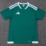 2026 AD Green Training Jersey (A Set)