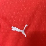 2025/26 Portugal Home Kids Long Sleeve Soccer Jersey 长袖童装